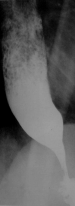 DSC08556