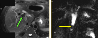 ����2022-10-06 18.40.19