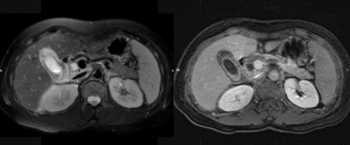 ����2022-10-06 18.44.41