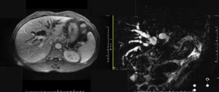 ����2022-10-06 18.50.22