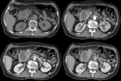 ����2022-10-06 18.58.49