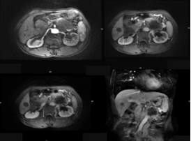 ����2022-10-06 18.59.46