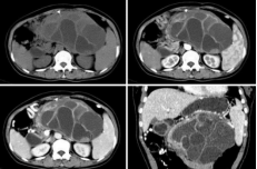 ����2022-10-06 19.01.50