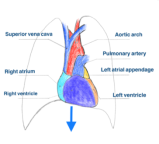 2021-06-07 14:34:48.715000