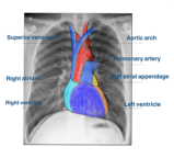 2021-06-07 14:30:43.795000