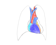 2021-06-08 01:06:56.009000