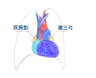 2021-06-08 00:32:37.053000