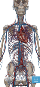 C:/Users/Administrator/AppData/Local/Temp/picturescale_20210609224424/output_20210609224445.pngoutput_20210609224445