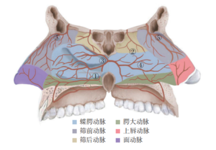 E:\qqxiazai\380316910\Image\SharePic\20220824163322.png